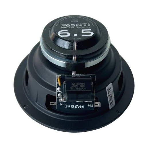 Massive Audio P65NTI