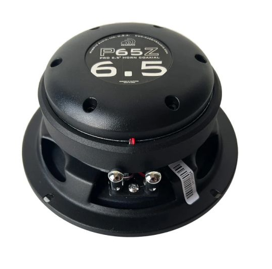 Massive Audio P65Z