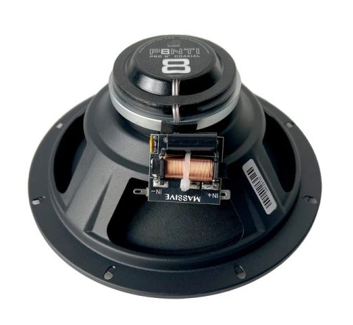 Massive Audio P8NTI