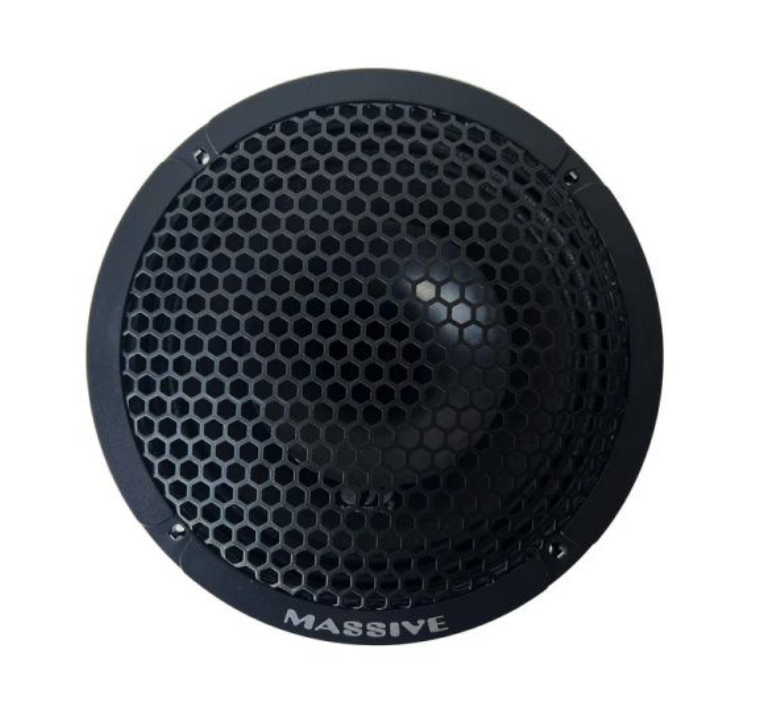 Massive Audio P65Z