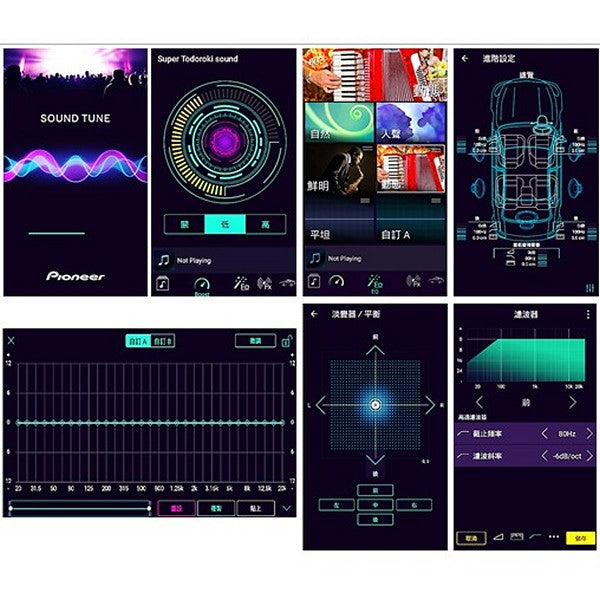 Pioneer DEQ-S1000A2